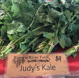 Judy's Siberian Kale