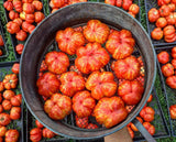 Schimmeig Stoo Stuffing Tomato