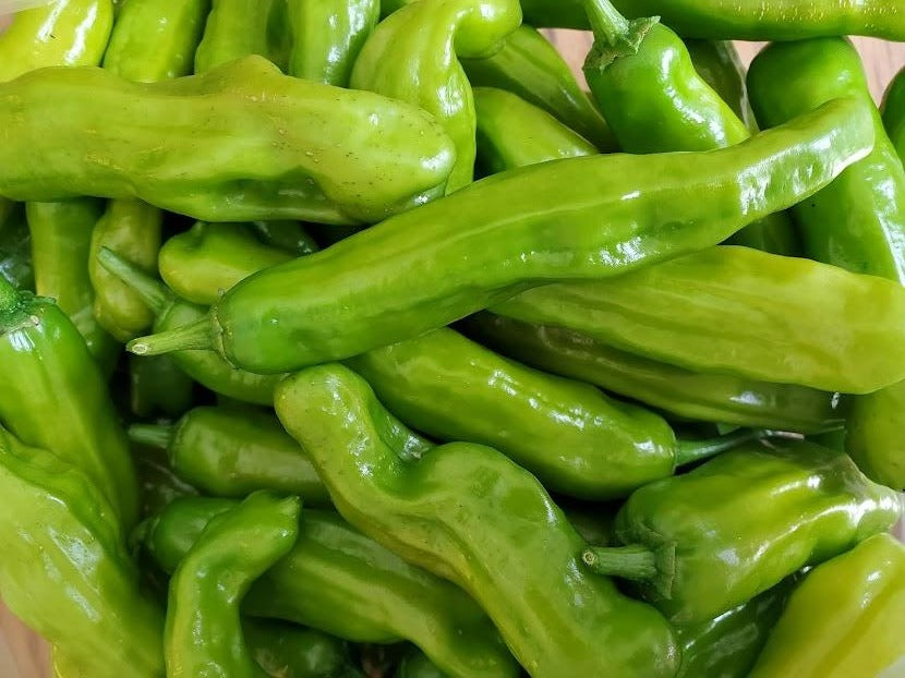 Shishito Pepper – Truelove Seeds